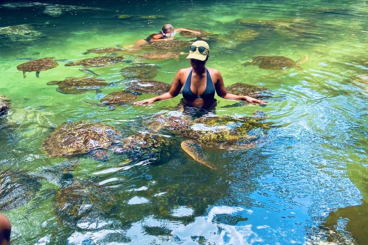 Natural Aquarium